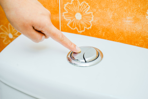 chasse d'eau économique